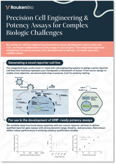 Integrated services of Cell Engineering and Potency Assay development A4 flyer