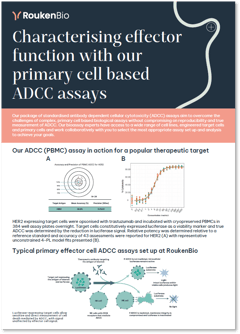 RoukenBio - Antibody effector function